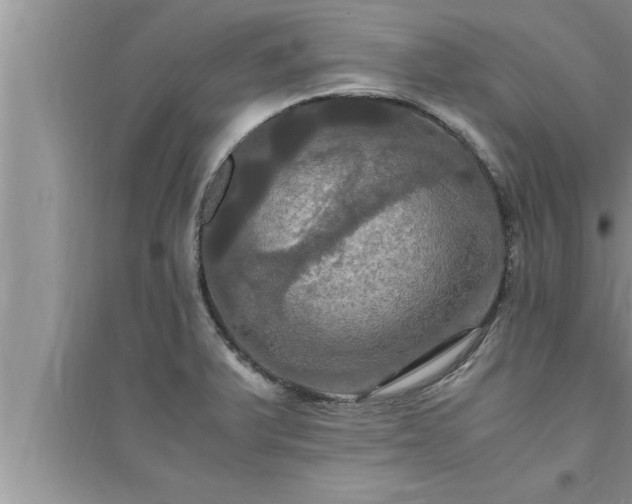 X0000095521375200712211253