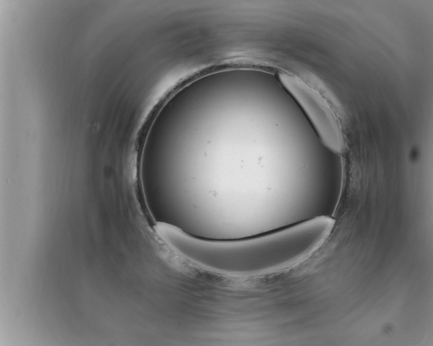 X0000095521376200712211253