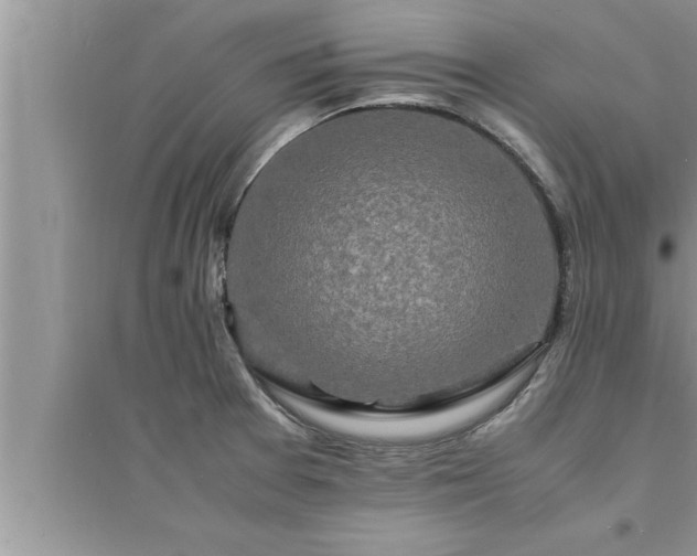 X0000095521377200712211253