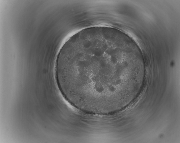 X0000095521379200712211253