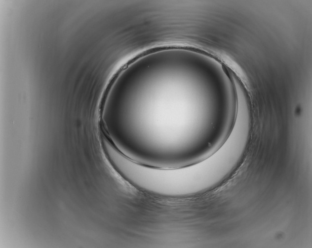 X0000095521380200712211253