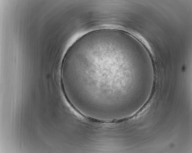 X0000095521381200712211253