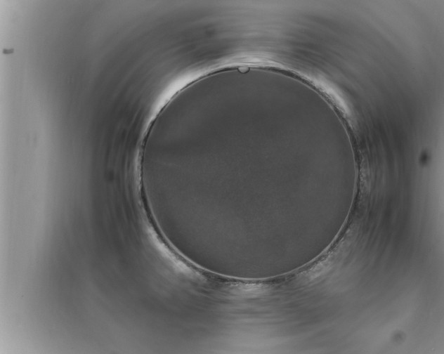 X0000095521382200712211253