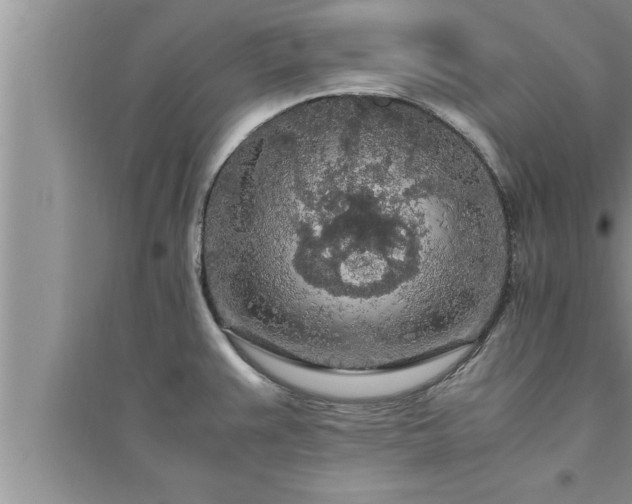 X0000095521383200712211253