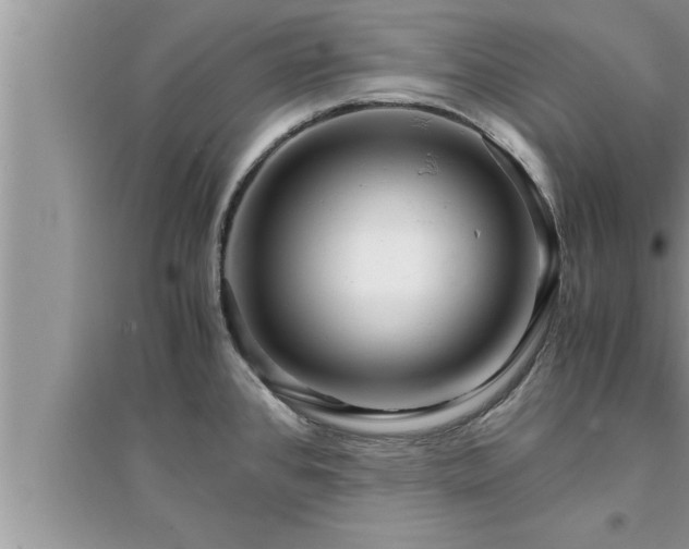 X0000095521384200712211253