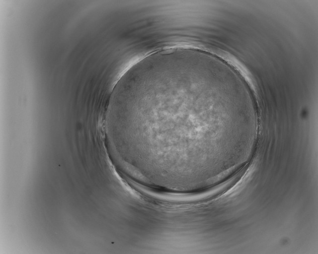 X0000095521385200712211253