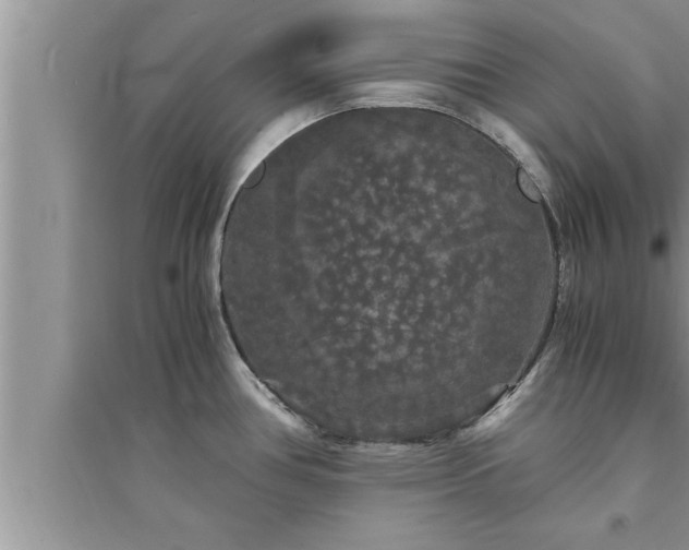 X0000095521386200712211253