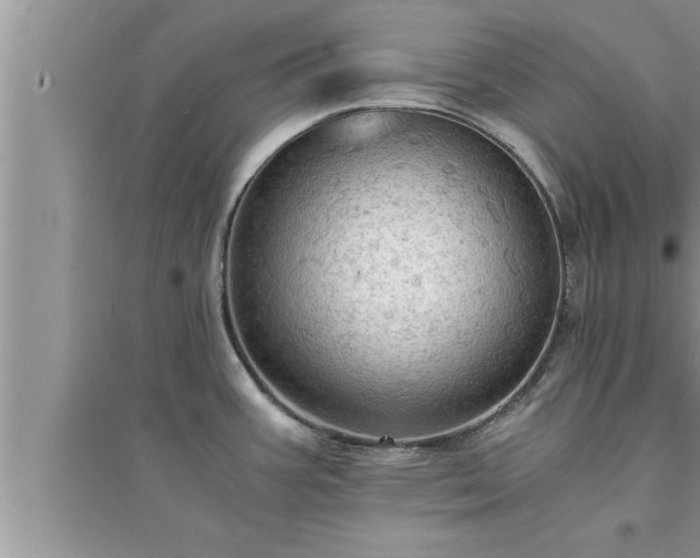 X0000095521387200712211253