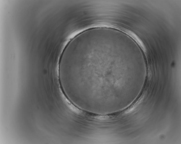 X0000095521388200712211253