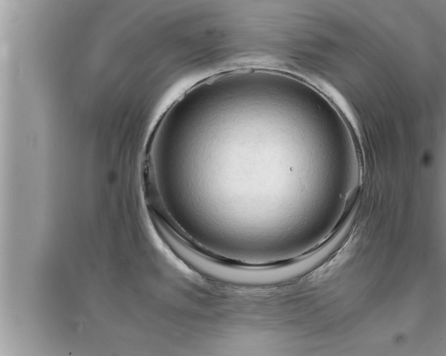 X0000095521389200712211253