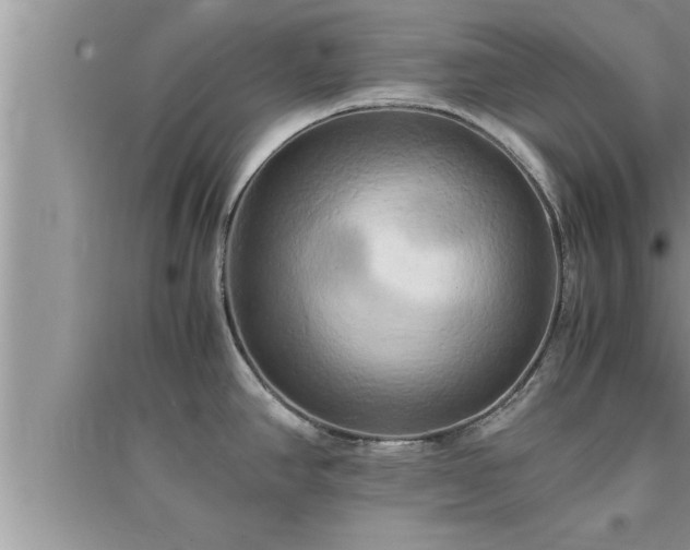 X0000095521390200712211253