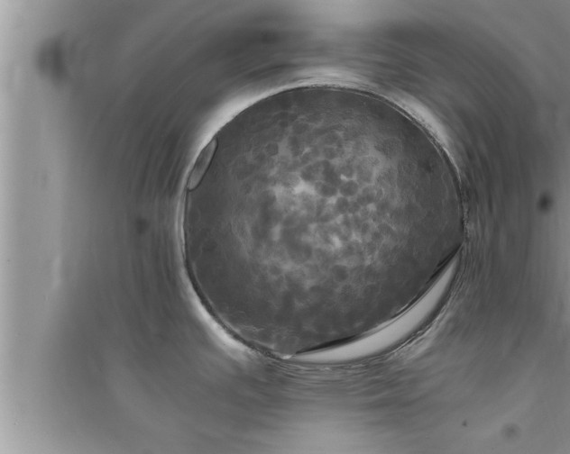 X0000095521391200712211253