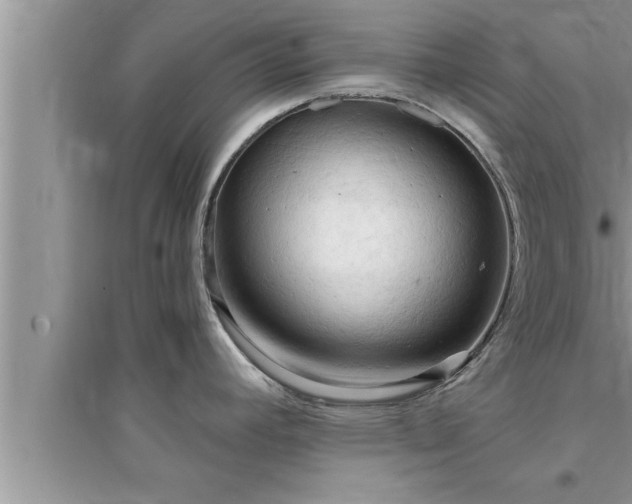 X0000095521392200712211253