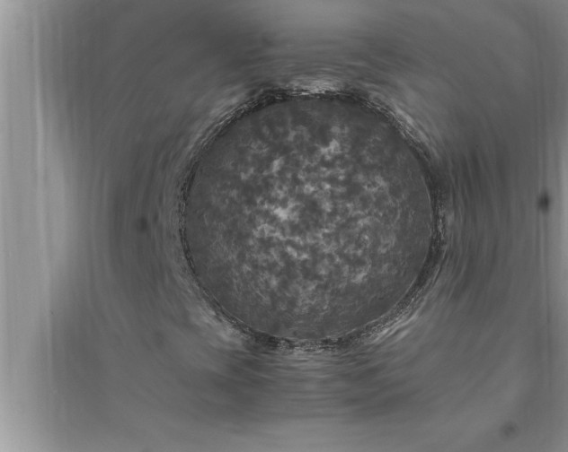 X0000095521393200712211252