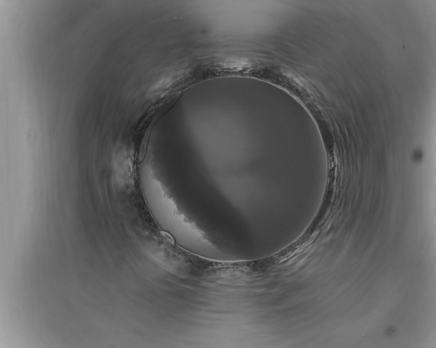 X0000095521394200712211252