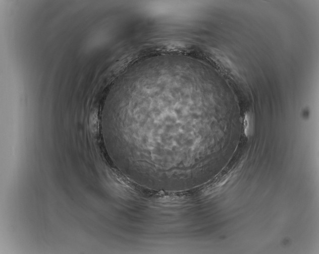 X0000095521395200712211252