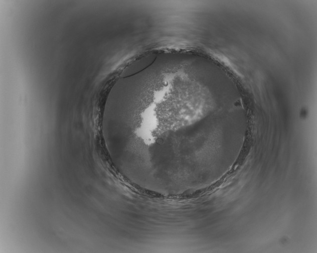 X0000095521399200712211252