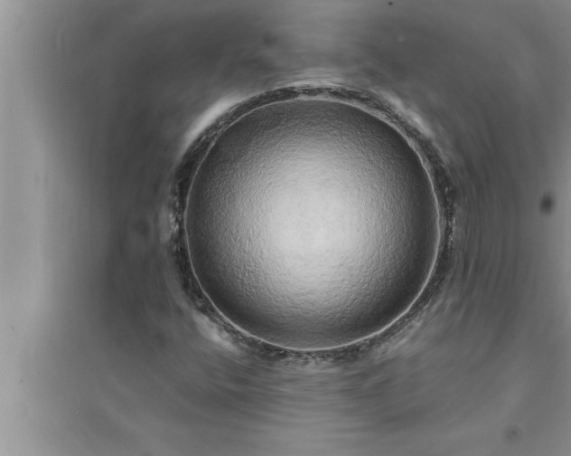 X0000095521400200712211252