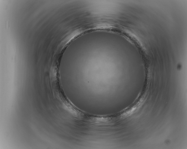 X0000095521401200712211252