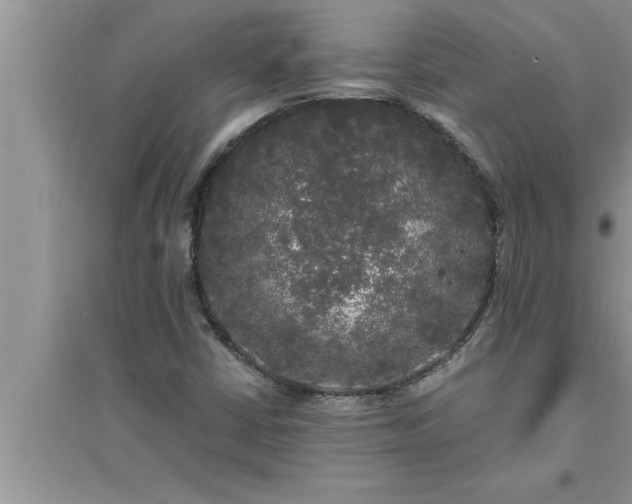 X0000095521402200712211252