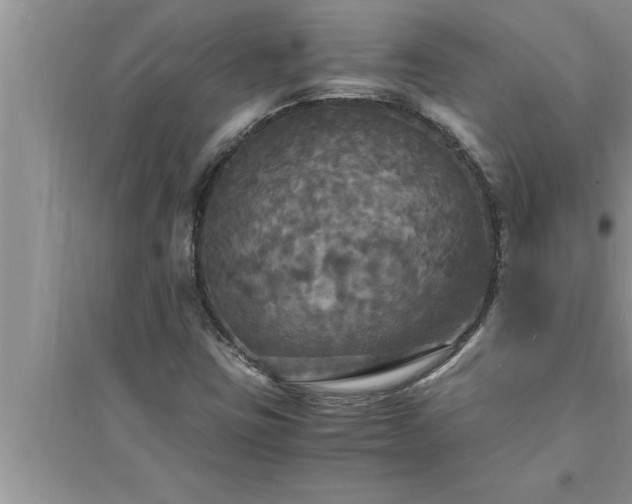 X0000095521403200712211252