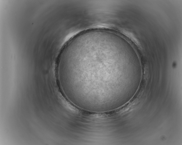 X0000095521404200712211252