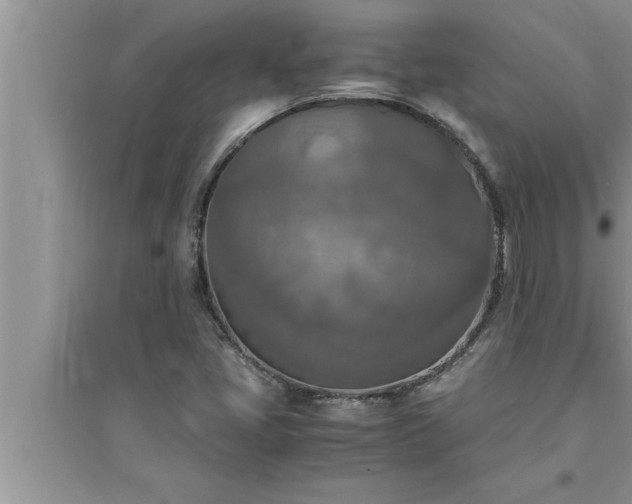 X0000095521405200712211252