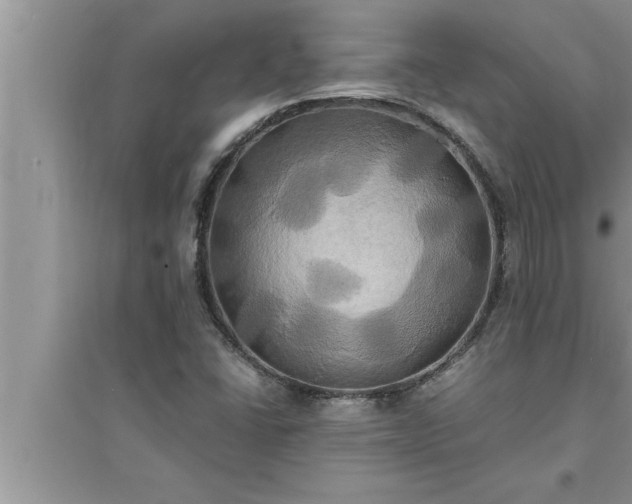 X0000095521406200712211252