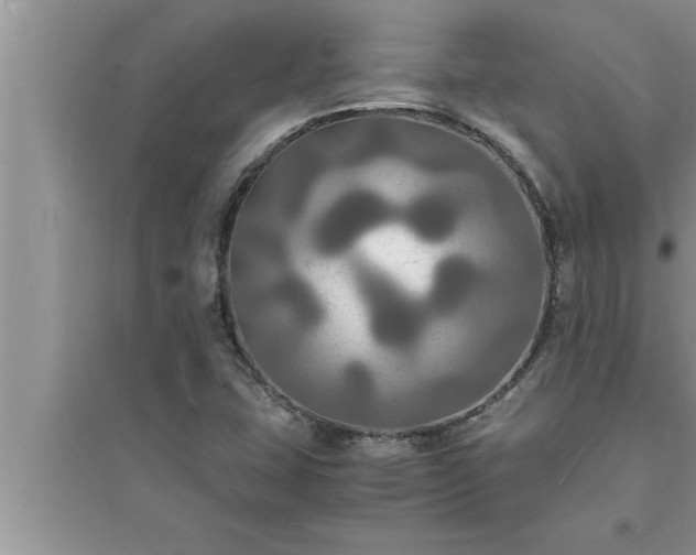 X0000095521407200712211252