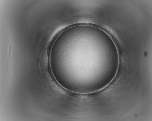 X0000095521408200712211252