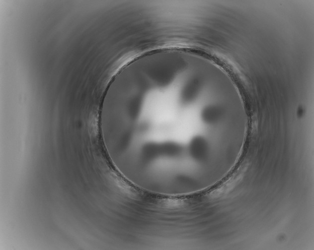 X0000095521409200712211252