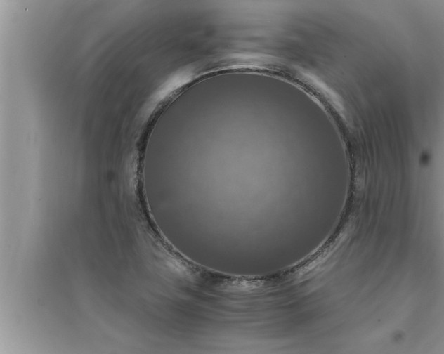 X0000095521411200712211252