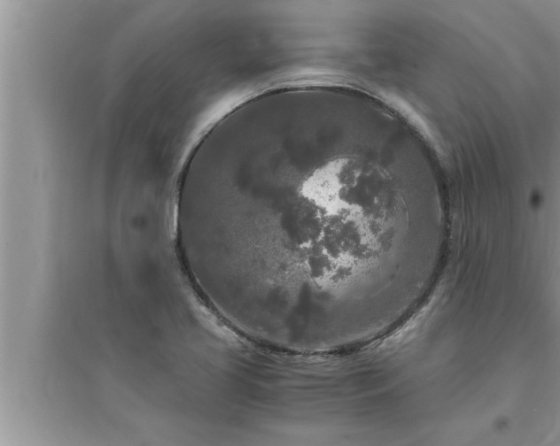 X0000095521413200712211252