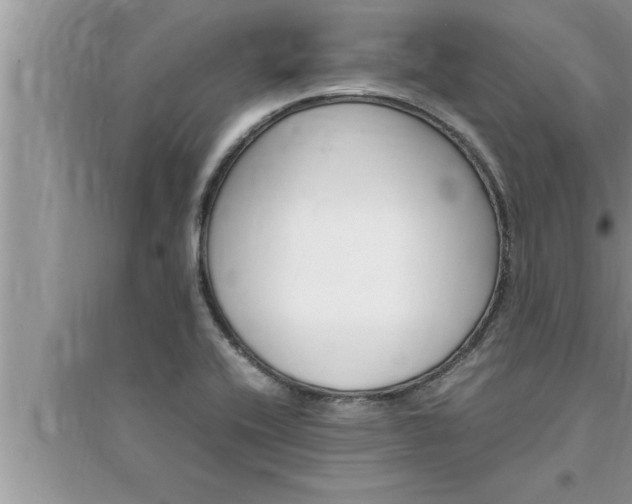 X0000095521416200712211252