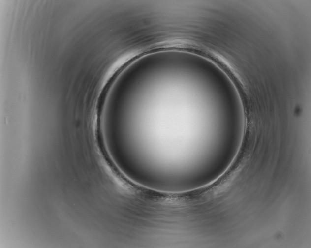 X0000095521418200712211253