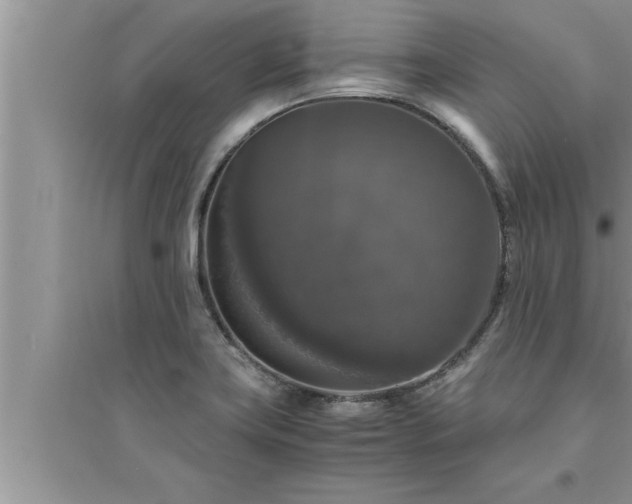 X0000095521419200712211253