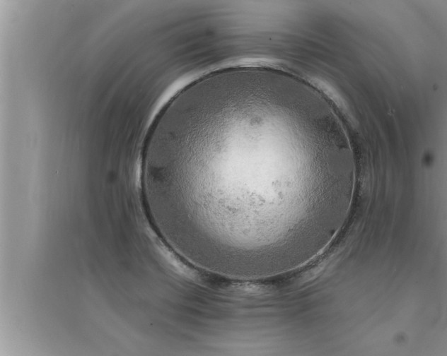 X0000095521420200712211253