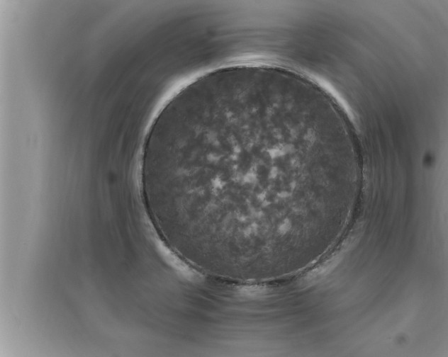 X0000095521421200712211253