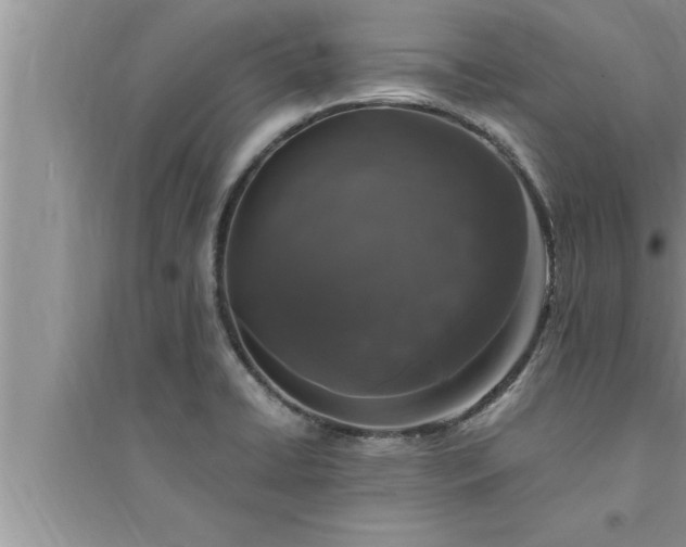 X0000095521422200712211253