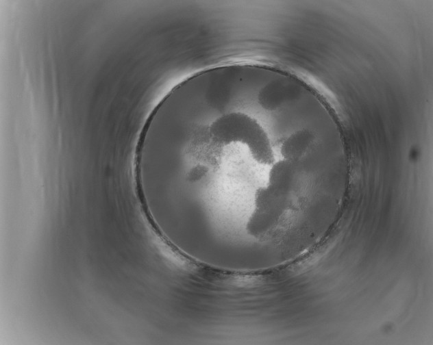 X0000095521423200712211253