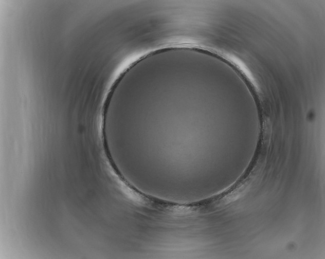 X0000095521424200712211253