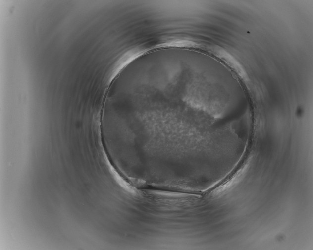 X0000095521425200712211253