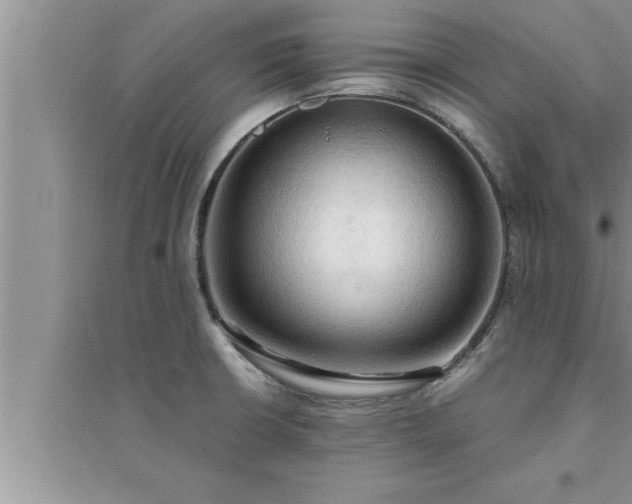 X0000095521426200712211253