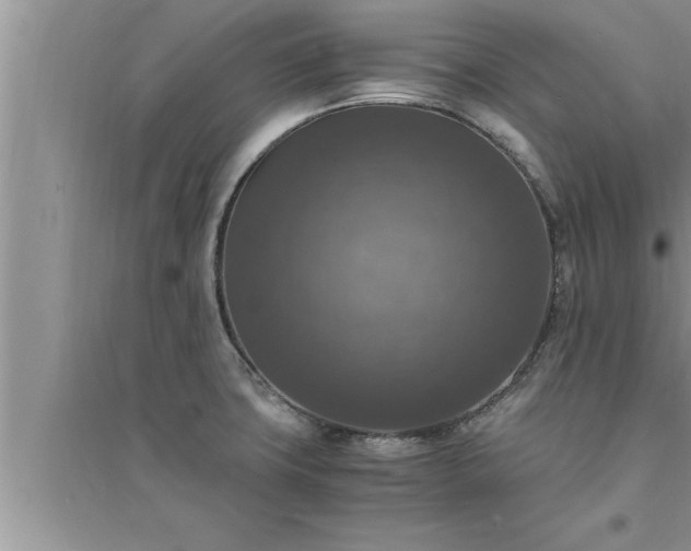 X0000095521427200712211253