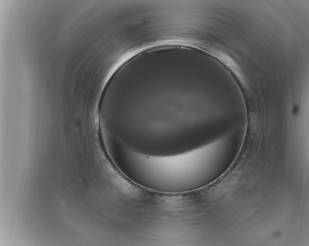 X0000095521428200712211253