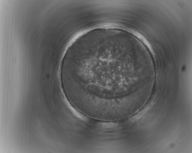 X0000095521429200712211253