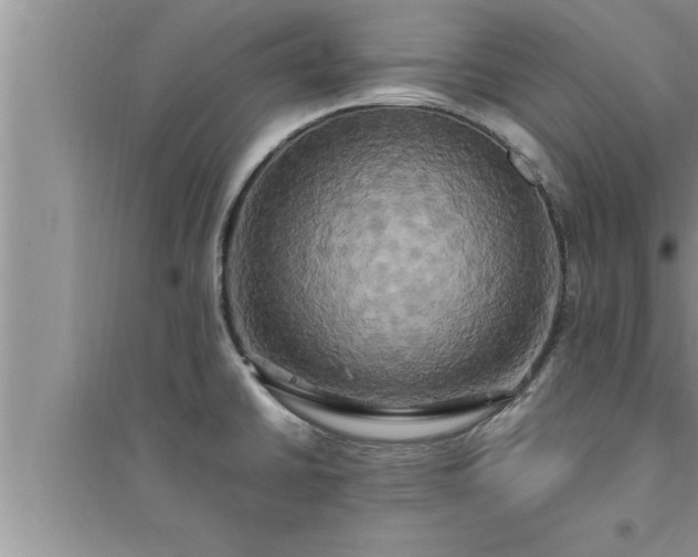 X0000095521430200712211253