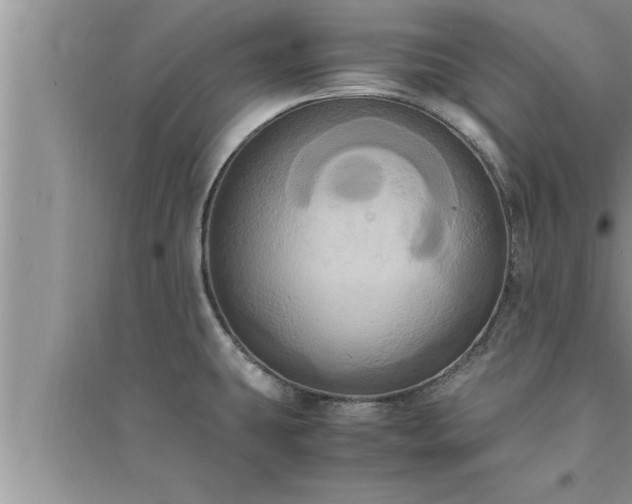 X0000095521431200712211253