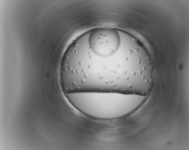 X0000095521432200712211253