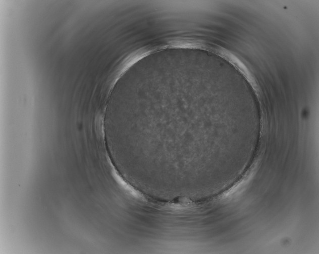 X0000095521433200712211253